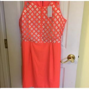 🌴NWT Lulumari dress bright orange